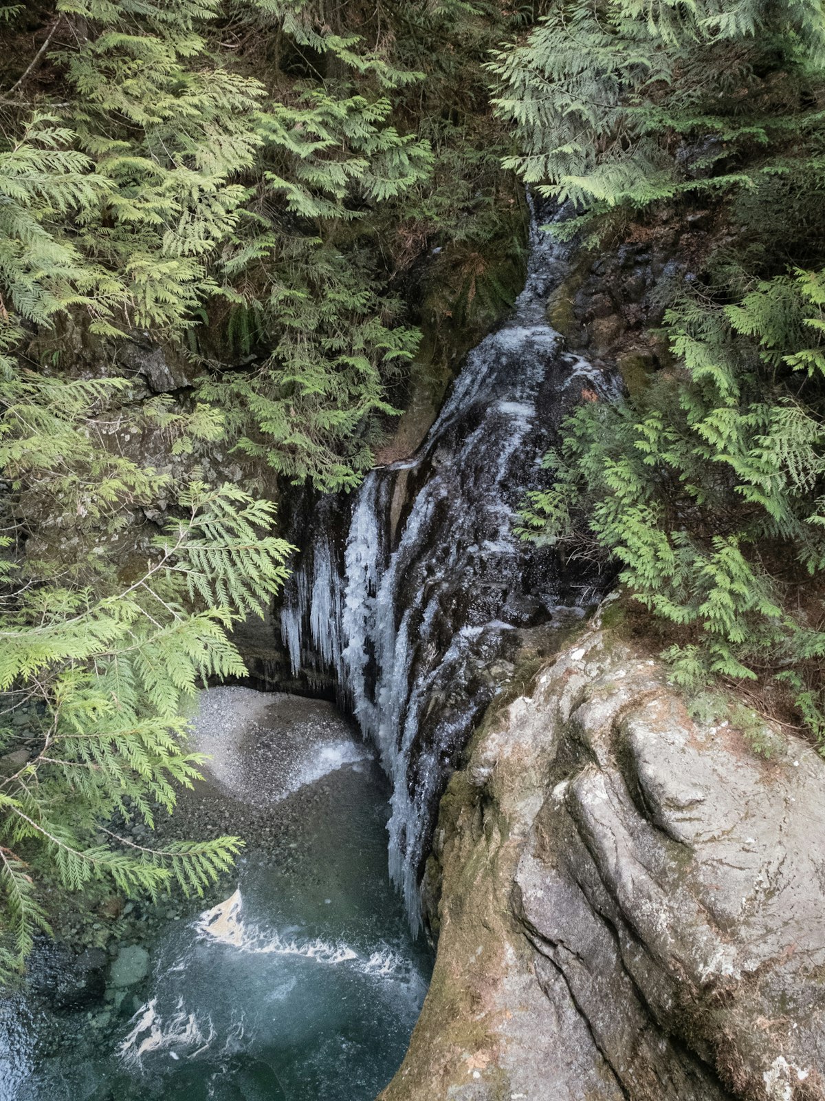 DSCF3378
