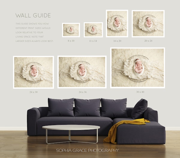 WallDisplayGuide